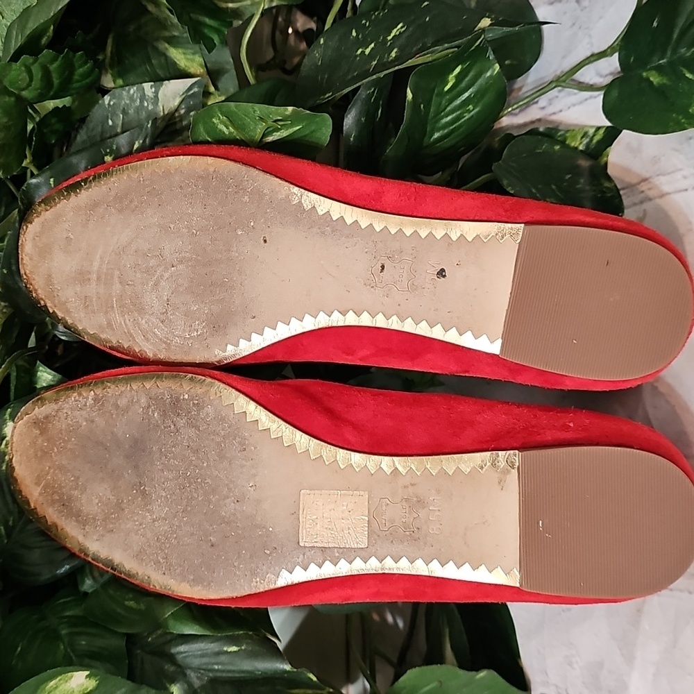 Tory Burch No Longer Available - Picture 11 of 13